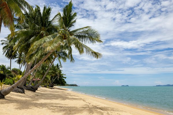 Quelles initiatives innovantes encouragent le tourisme durable ?