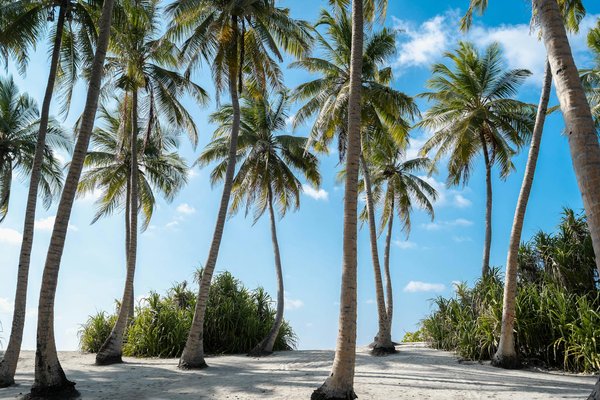 Astuces incontournables pour planifier une excursion éducative à la tour eiffel : le guide complet